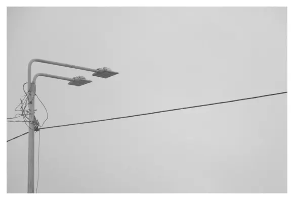 كازينو سبين 247 الدعم